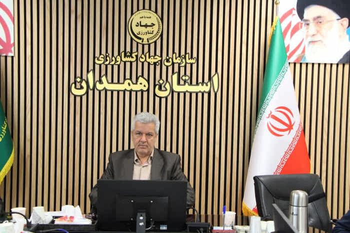 هشت هزار و 500 هکتار از اراضی همدان زیر کشت سیب زمینی بهاره است 