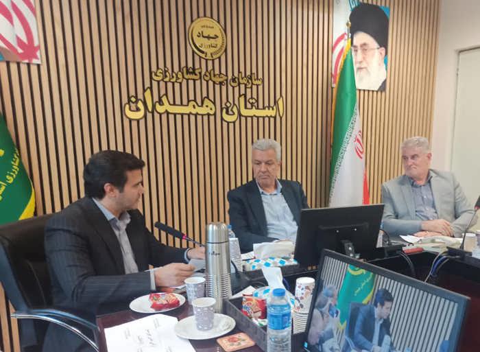 200 هکتار گلخانه در همدان احداث می شود 